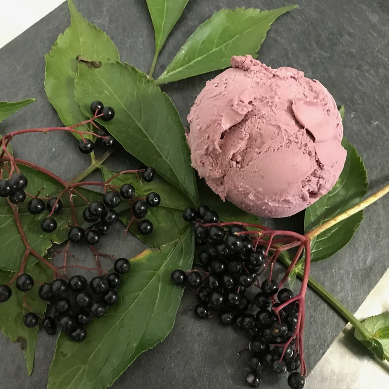 Bio-Sorbet