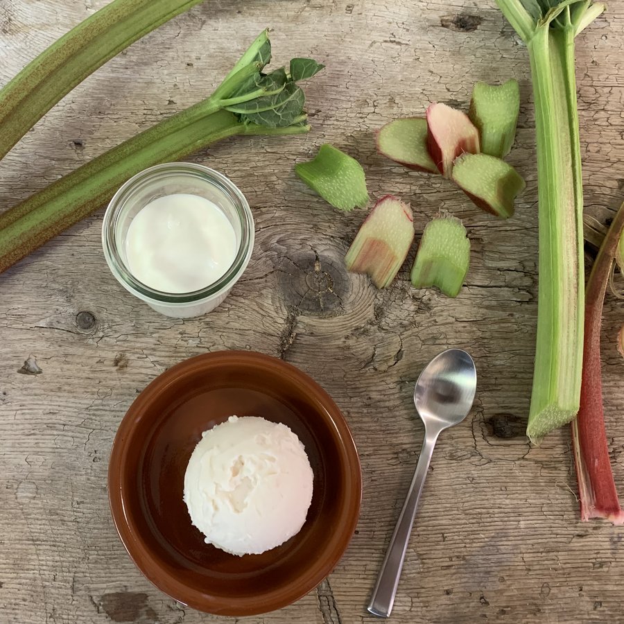 Jetzt aktuell <br>Bio Joghurt Rhabarber